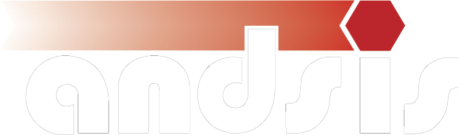 Logo ANDSIS